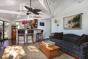 Älytelevisio, kirjoja