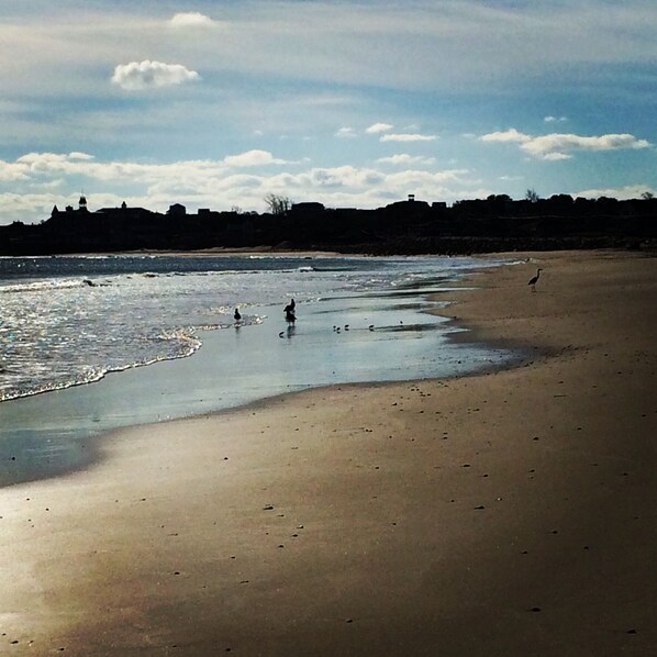 Una playa cerca