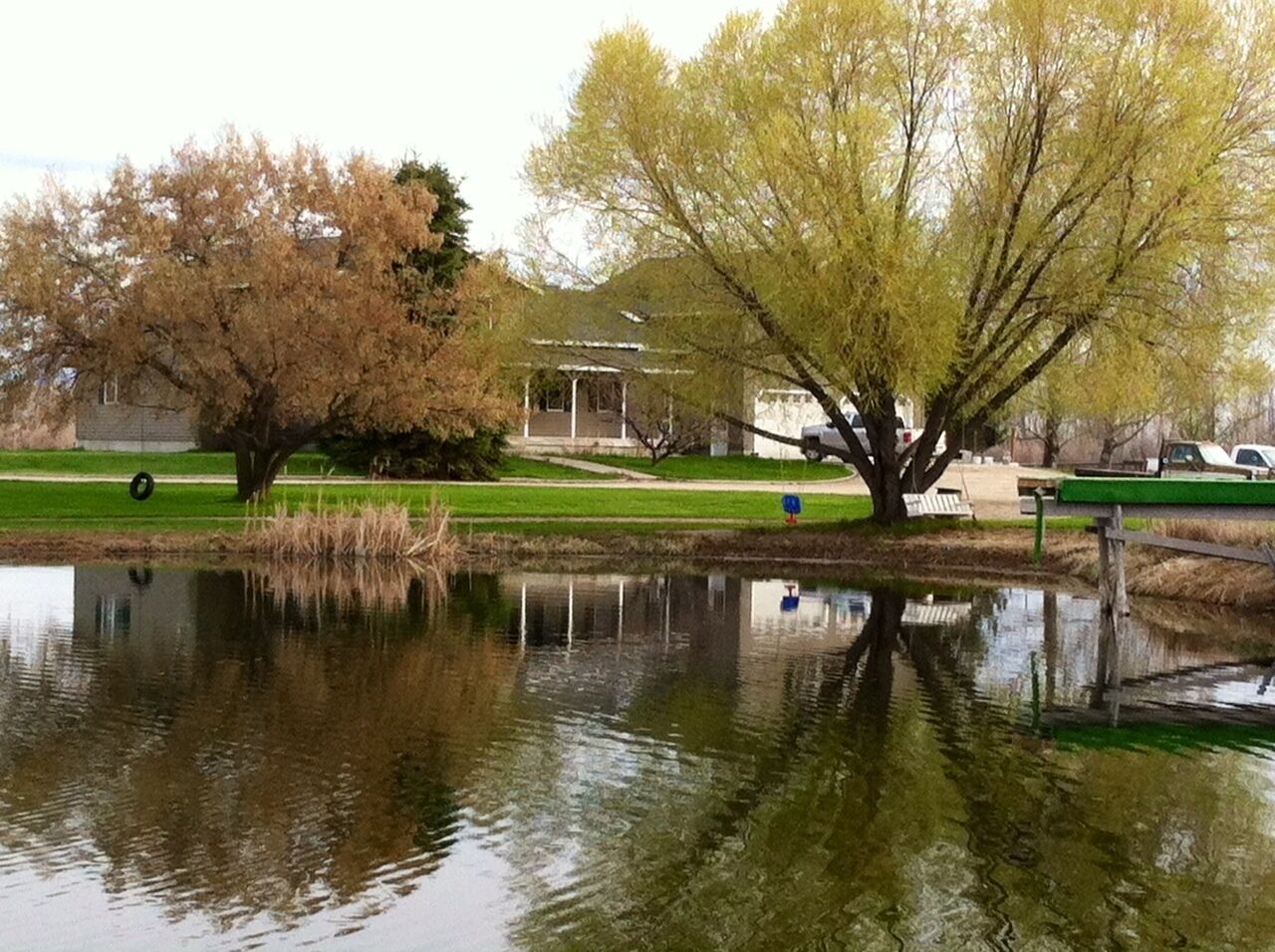 The Ponds-A Working Ranch