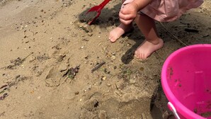 A child playing on a sandy beach near a body of water. - Sunset Beach - Log Home on Beautiful Indian Lake (Manistique)
