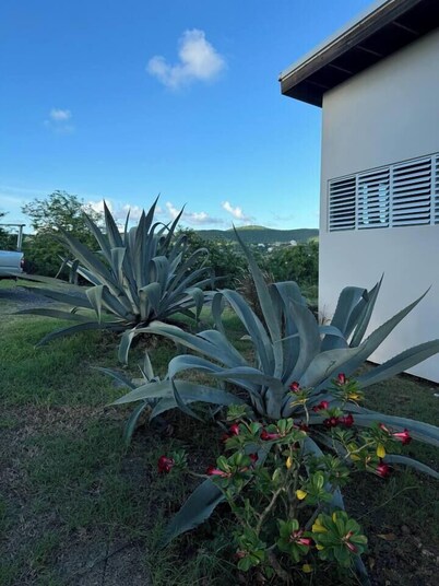 Tres Bahías Eco Villas • East Port Studio