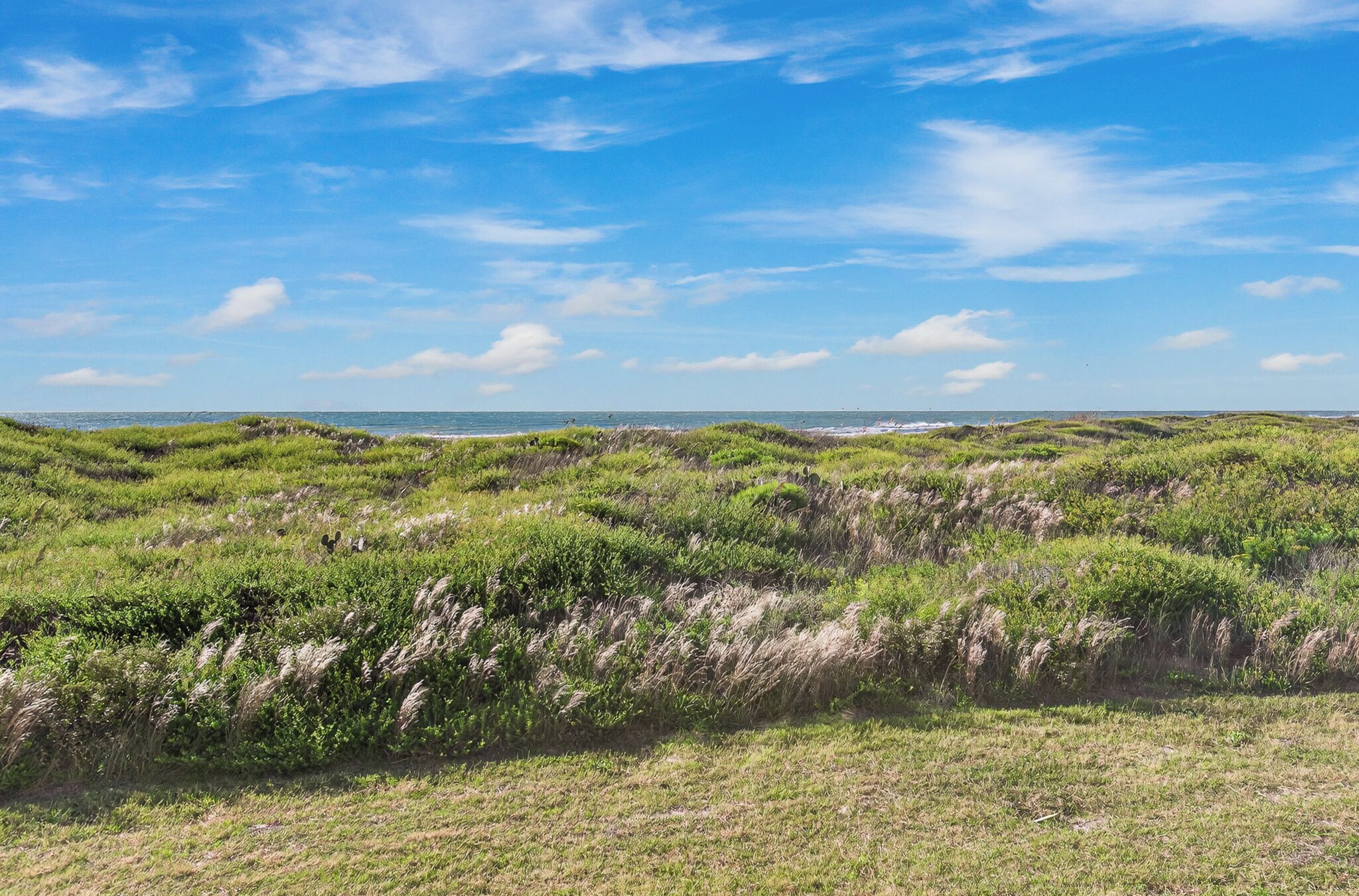 Un paysage côtier caractérisé par un terrain herbeux et un ciel dégagé.