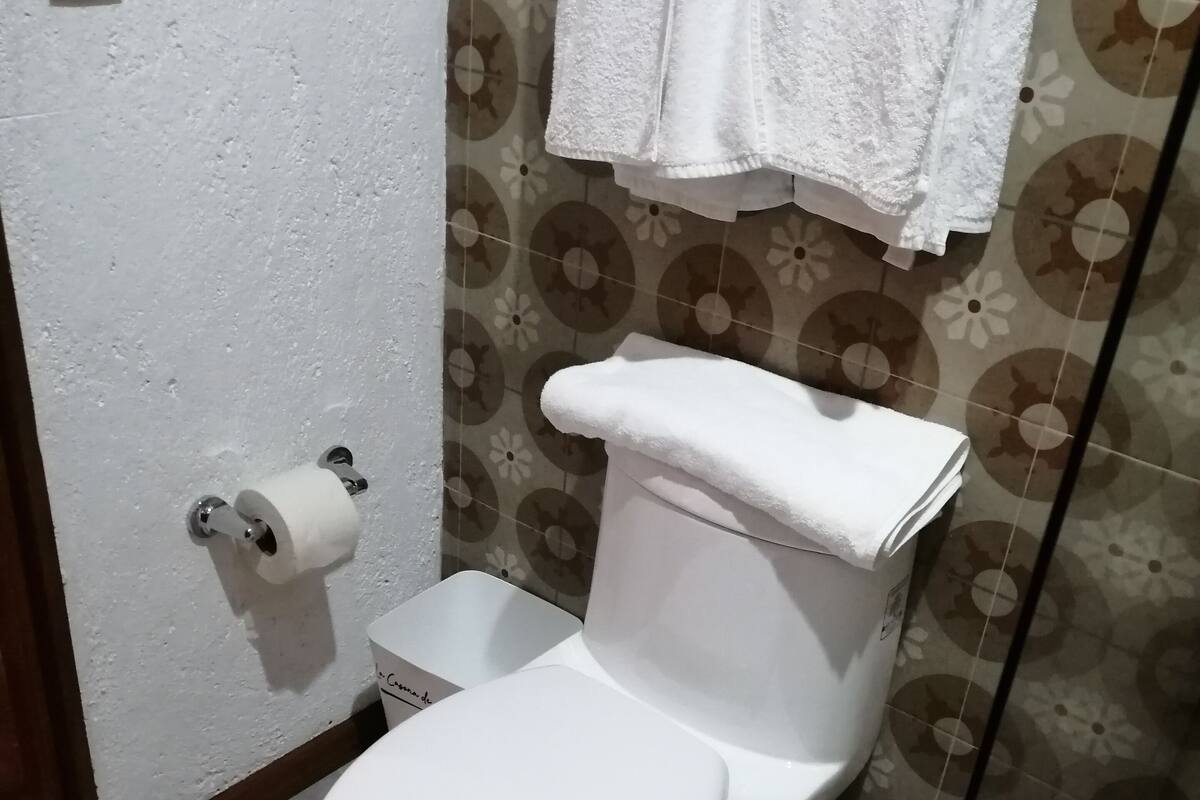 Habitación estándar, varias camas | Baño | Ducha, toallas, jabón y champú