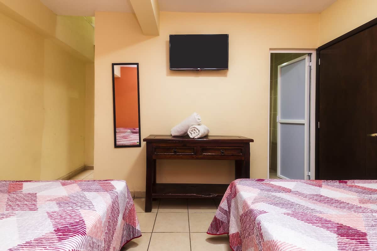 Habitación de hotel con dos camas, televisión, espejo y armario.