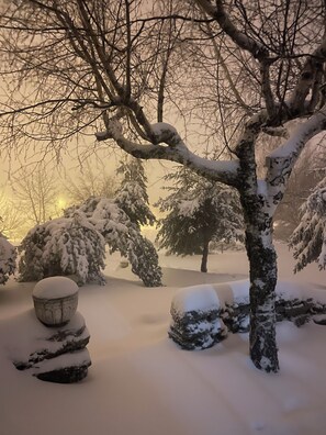 Área da propriedade