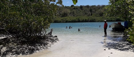 Playa