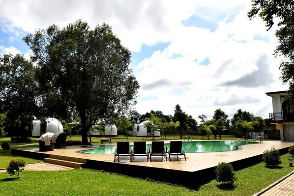 A pool area with lounge chairs, a small pool, and a grassy lawn. - The Lion Kingdom Sigiriya (Dambulla)