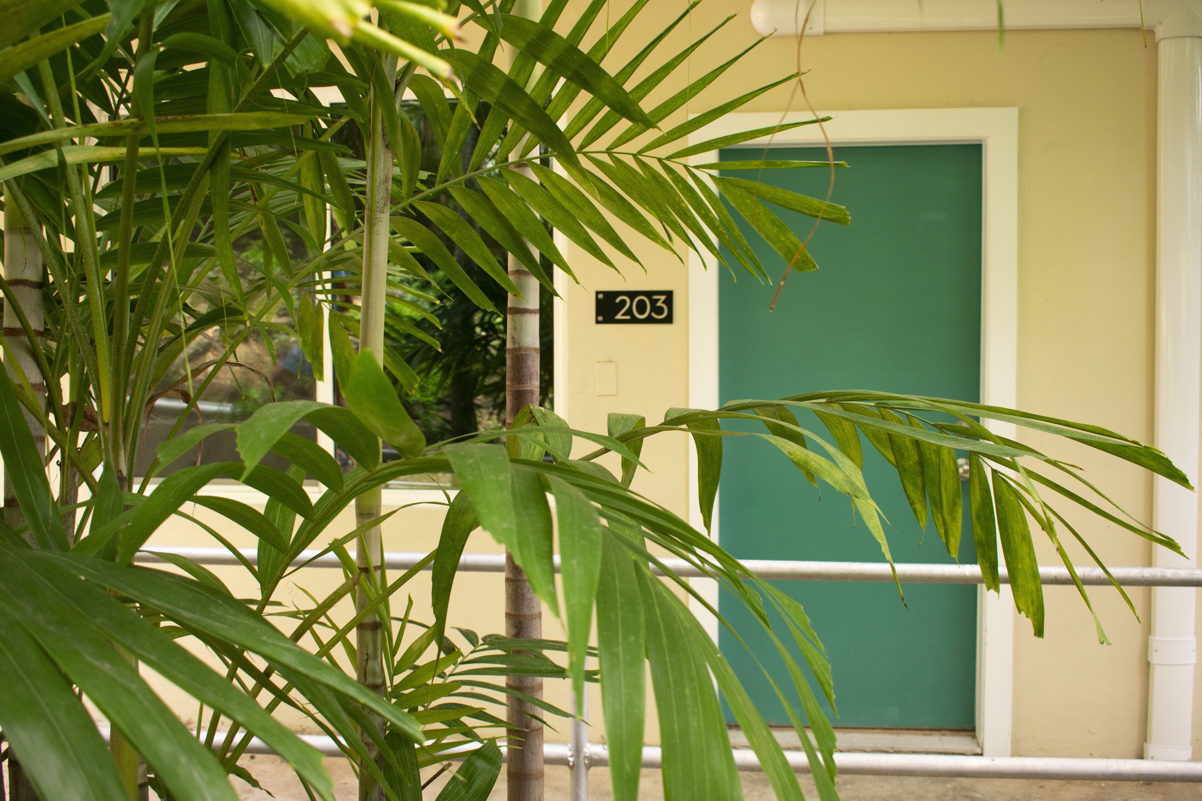 garden level 2 twins | 1 bedroom, individually decorated, individually furnished, free wifi