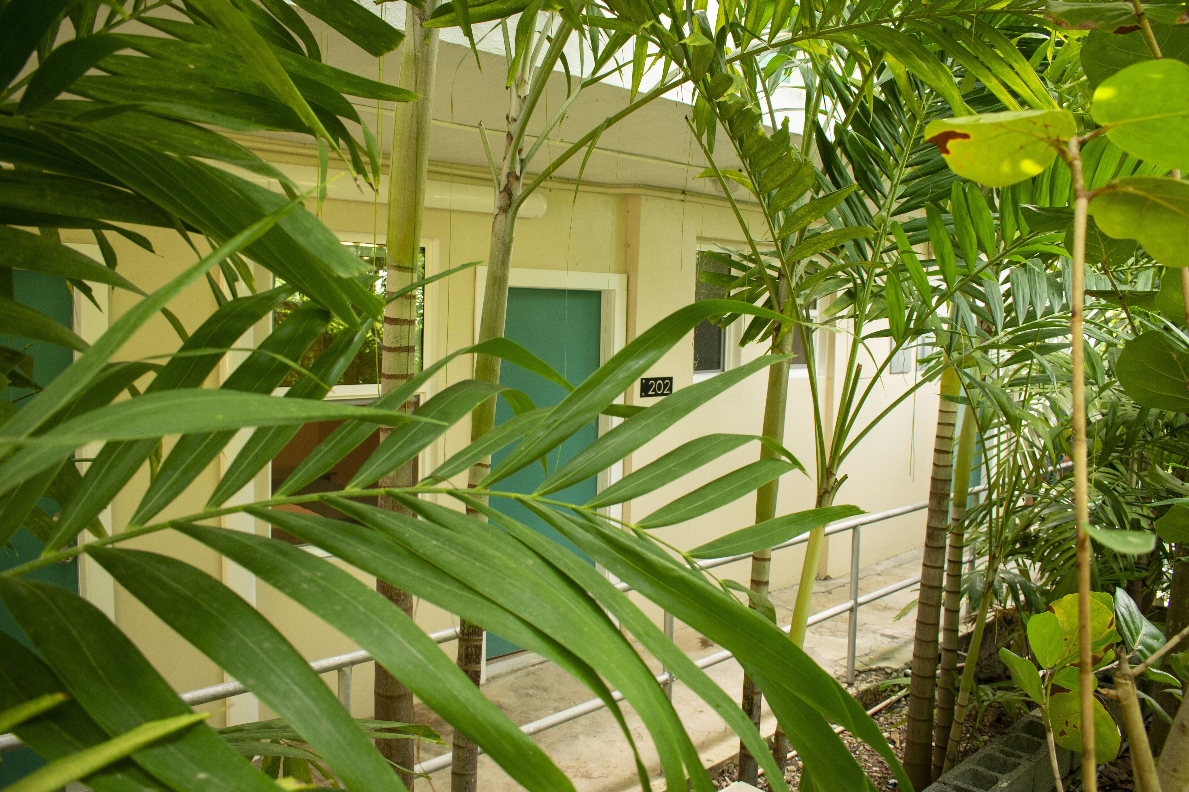 A building with a green door labeled "202" and a staircase leading to an upper level.