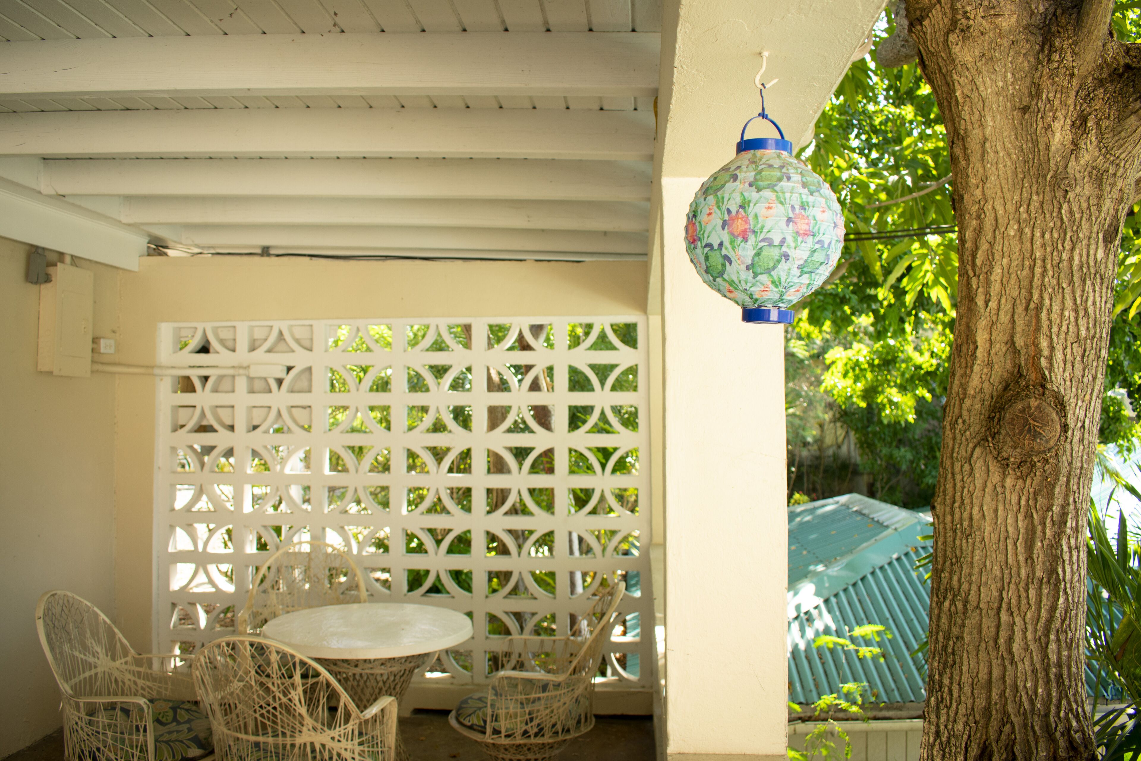 single/economy 1 twin bed (shared bath) | terrace/patio