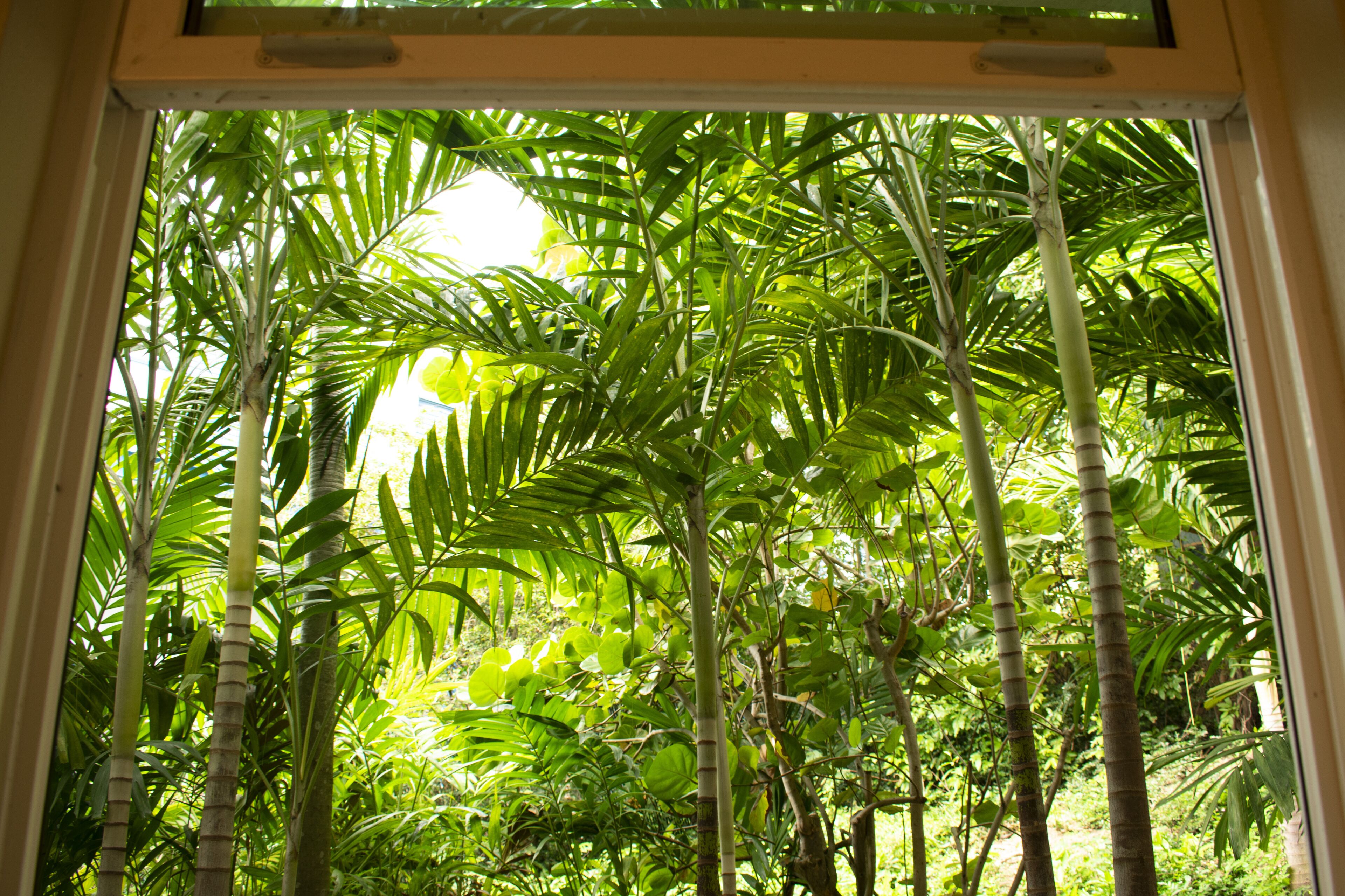 garden level queen bed | view from room