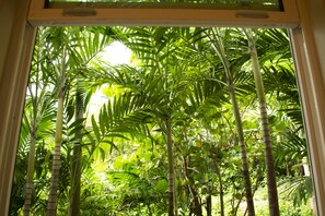 A view through a window with dense tropical foliage, including various types of palm trees and broad-leafed plants.