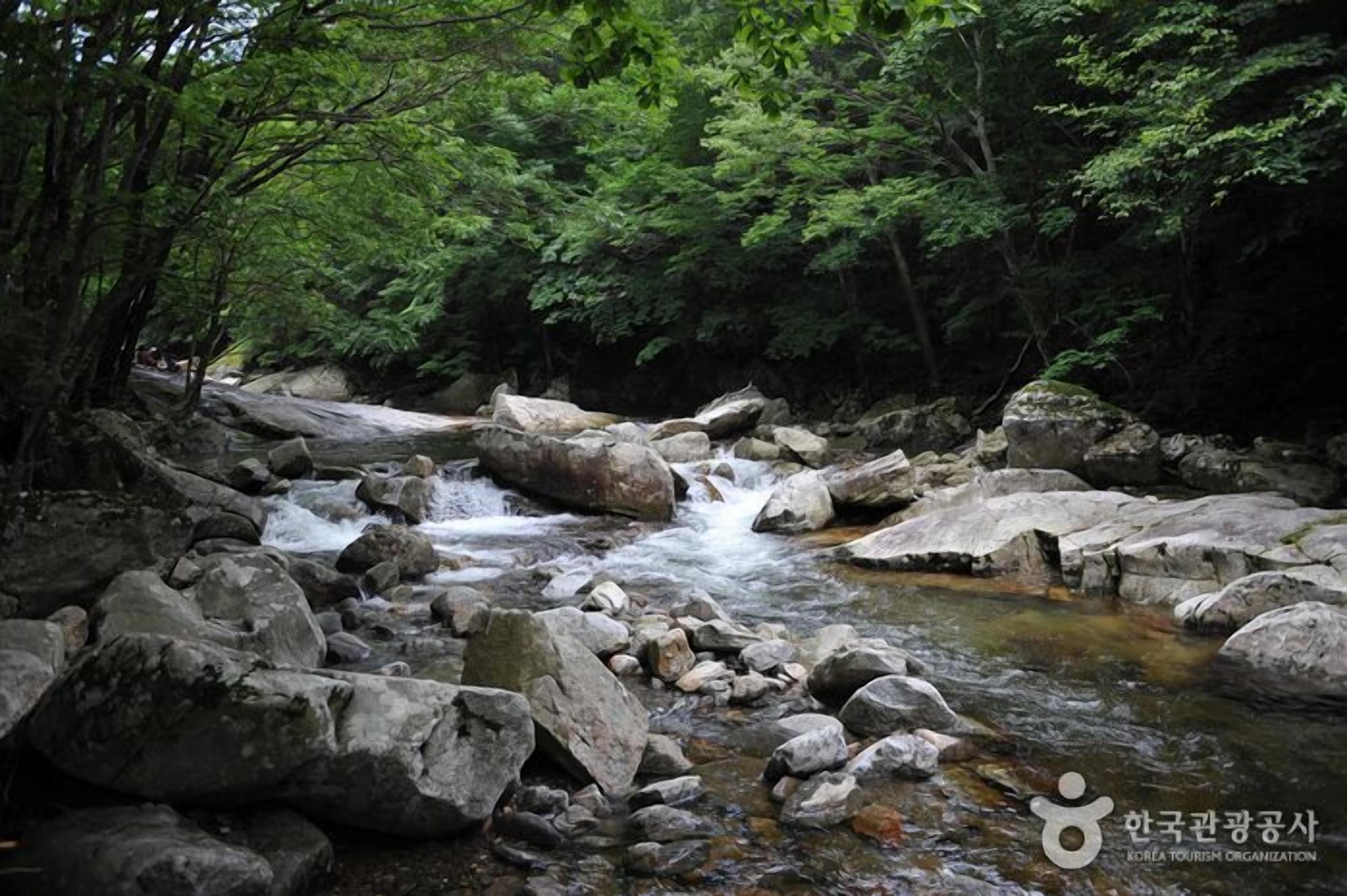 A natural stream with rocks and trees.