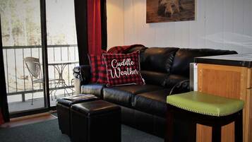 TV, fireplace, books, offices