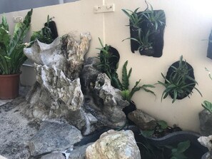Stunning rock garden with a variety of plants in pots and in the natural crevices of the rocks.