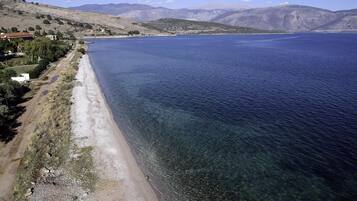 Plage, chaises longues