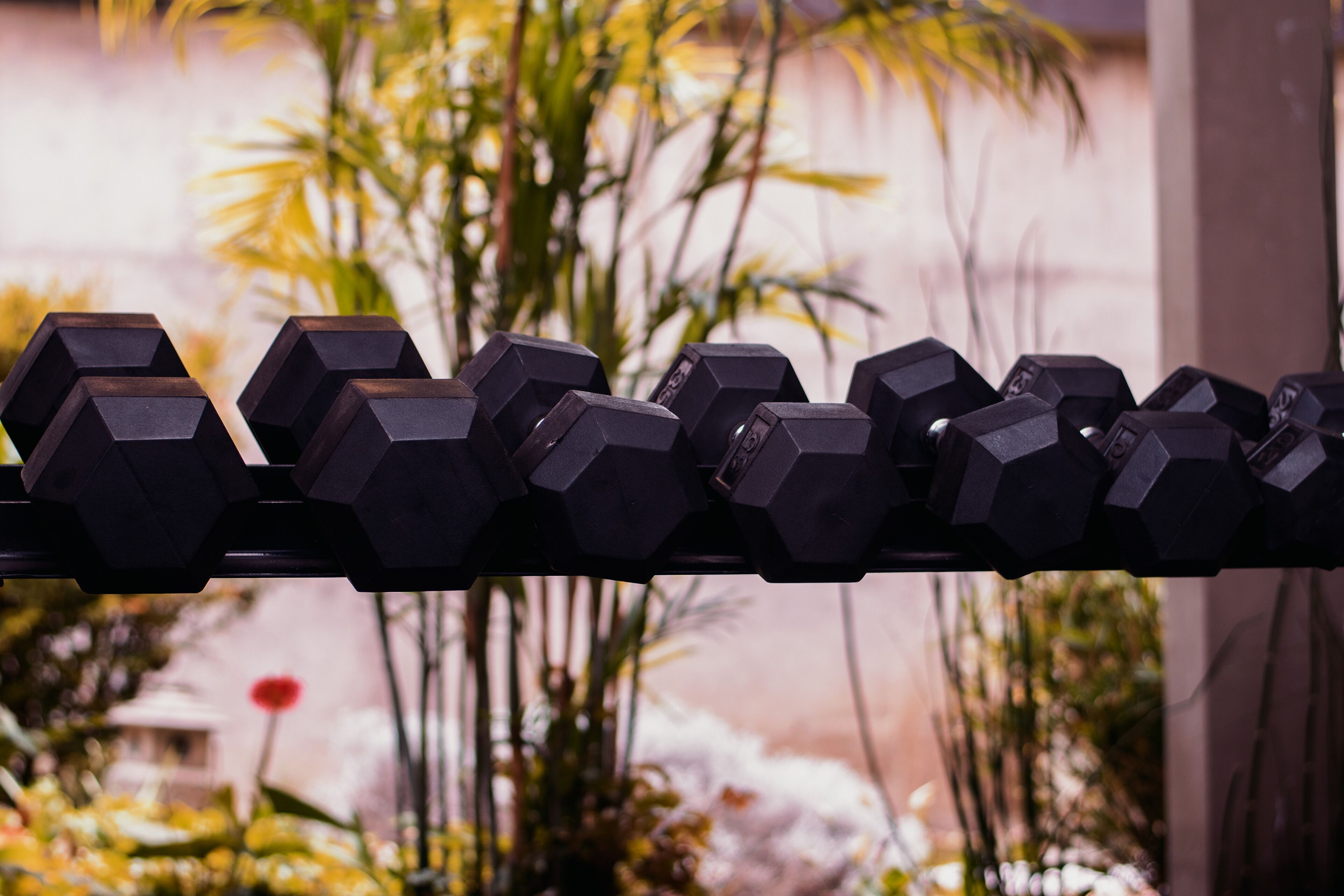 Foto - Hotel & Suites en Cuenca, Venue Batán