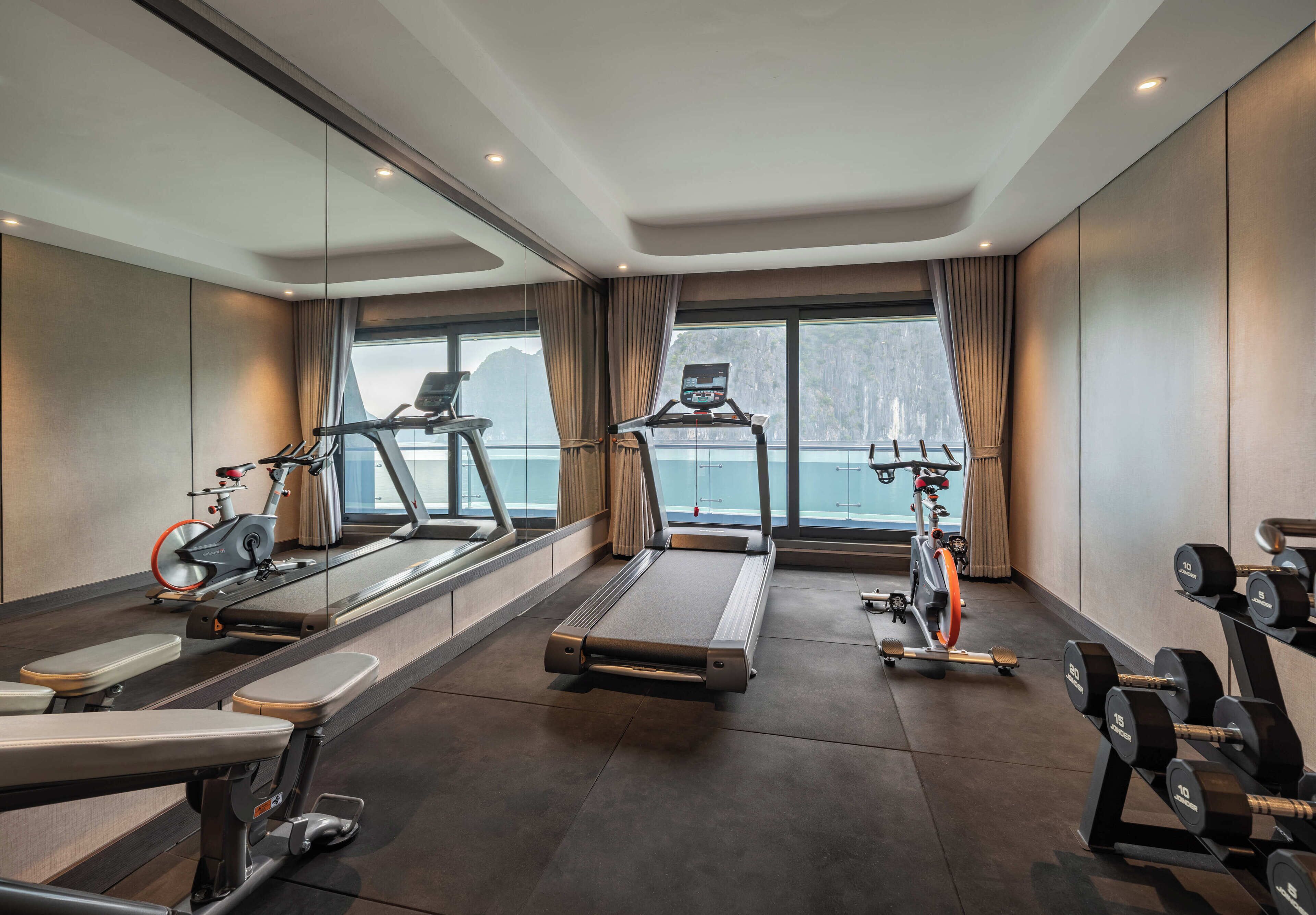 Une salle de sport équipée de machines de cardio, de machines de musculation et d’haltères.