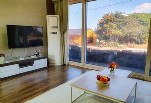 Flat-screen TV