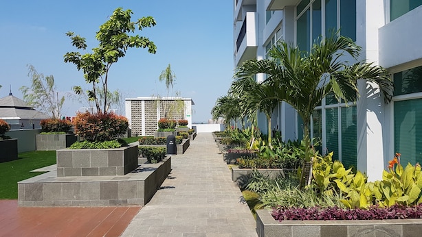 A pathway lined with planters and trees leading to a modern building with large windows. - Cozy Studio Apartment at Tree Park City (Tangerang)