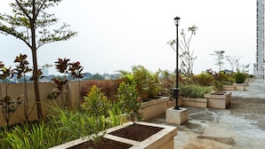 A rooftop garden with various plants and a street lamp.
