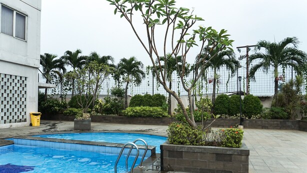 A swimming pool with a metal ladder, surrounded by palm trees and other greenery, with a building in the background.