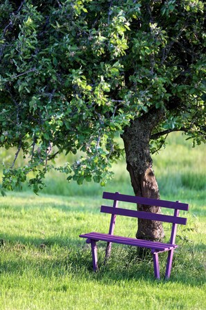Jardin