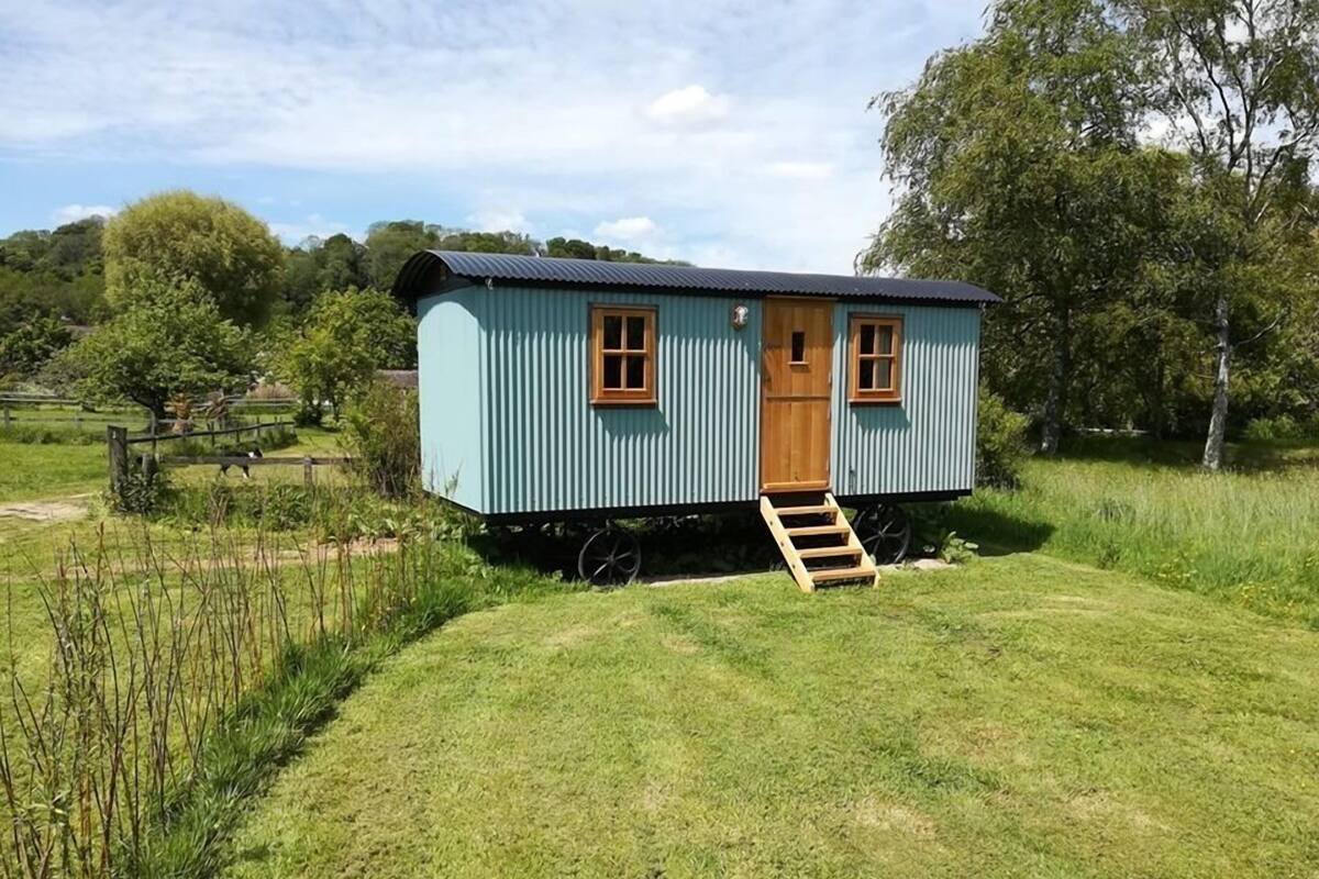 A small, single-story house with a wooden door and windows, situated on a grassy field with a wooden ramp leading up to the door.