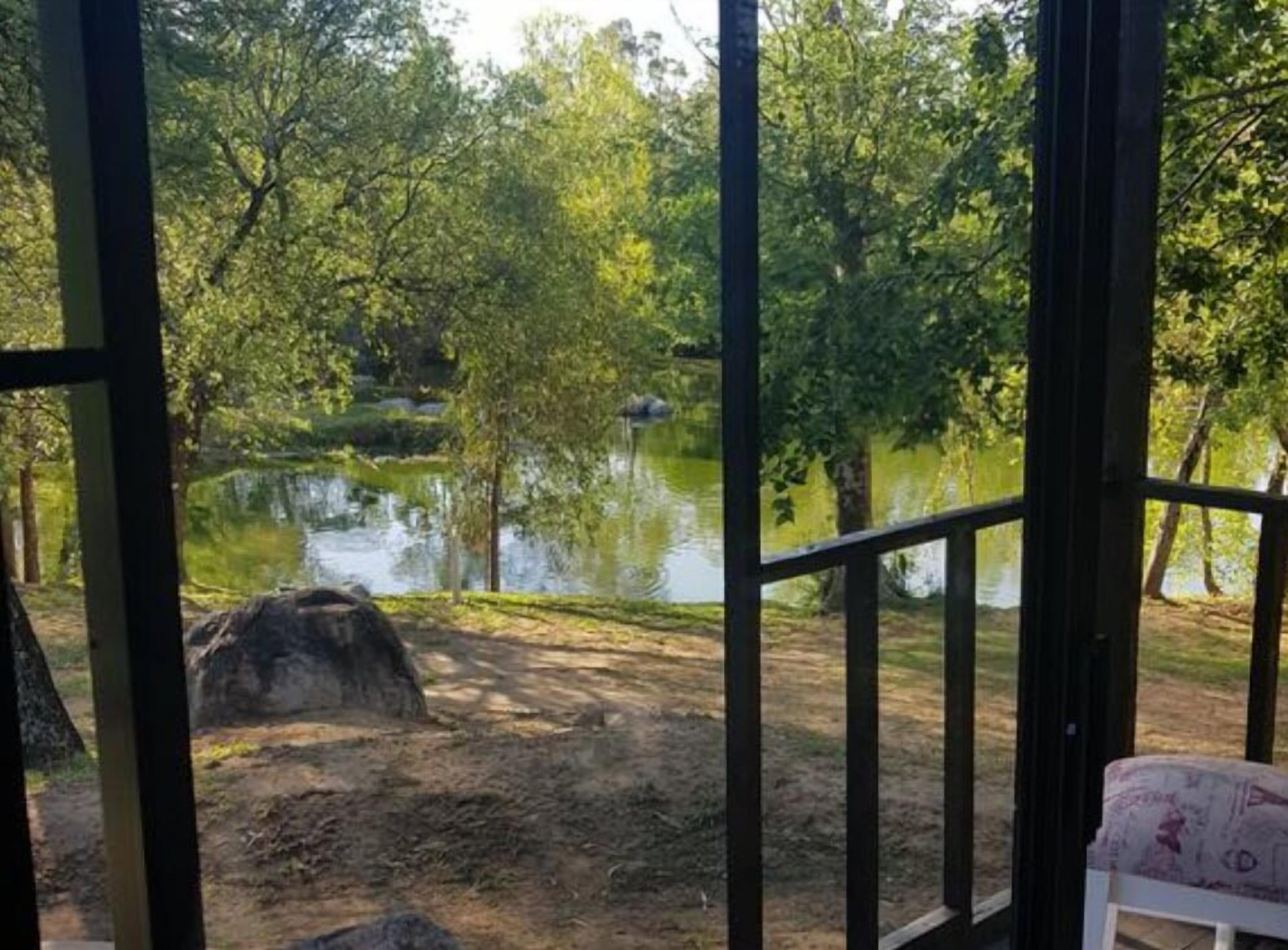 Olive Tree Cabin (River Front) | Lake view