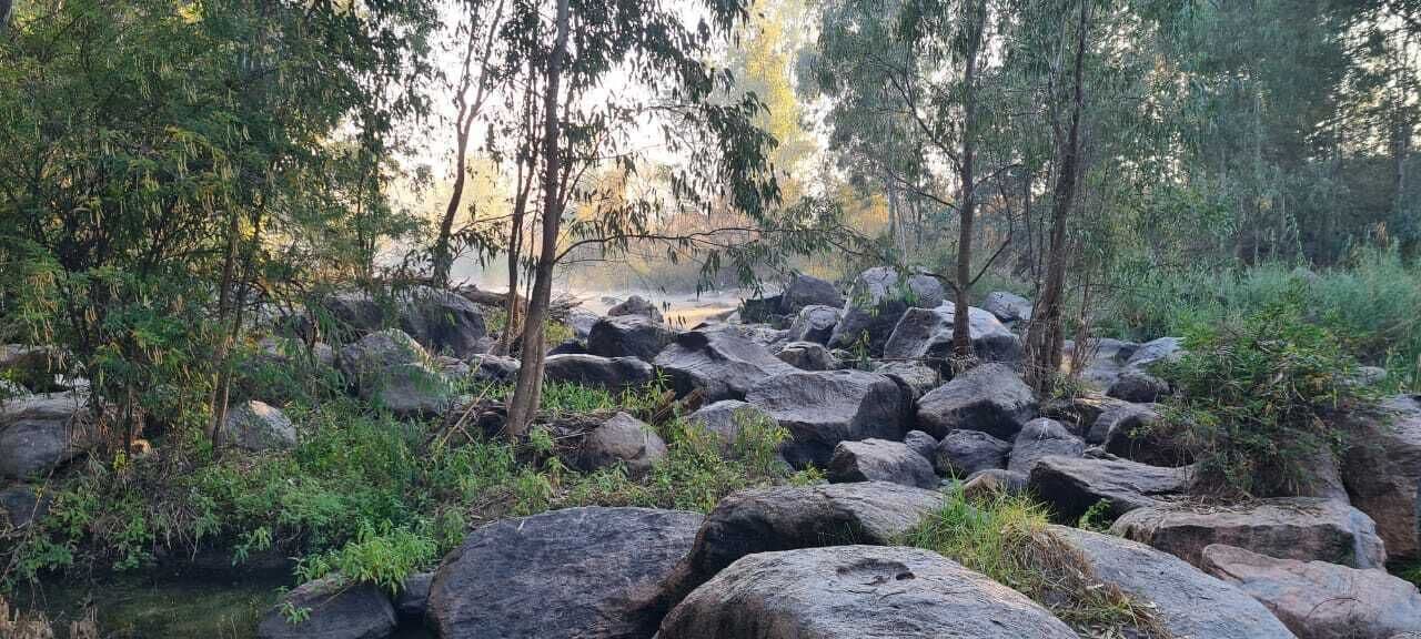 Tasik