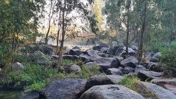 Tasik