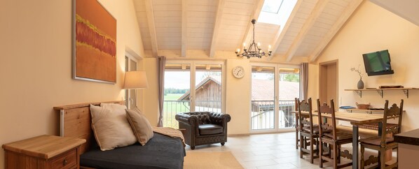 تلفزيون، مشغل دي في دي