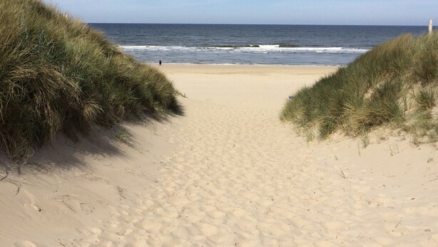 A sandy beach path leading to the ocean with grassy dunes on either side. - Spacious house & spa near forest, beach and sea and the cozy village of Bergen (Bergen)