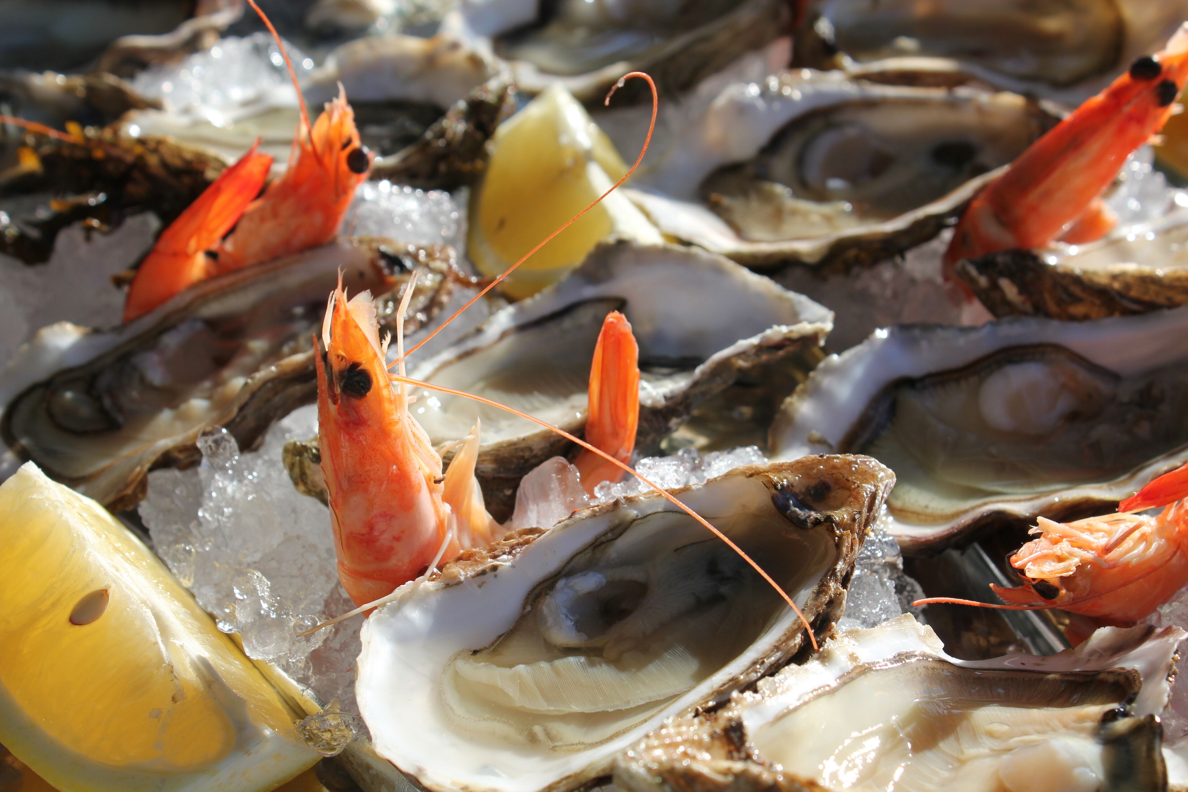 Foto - Hôtel Restaurant Ferme de la Grande Cour