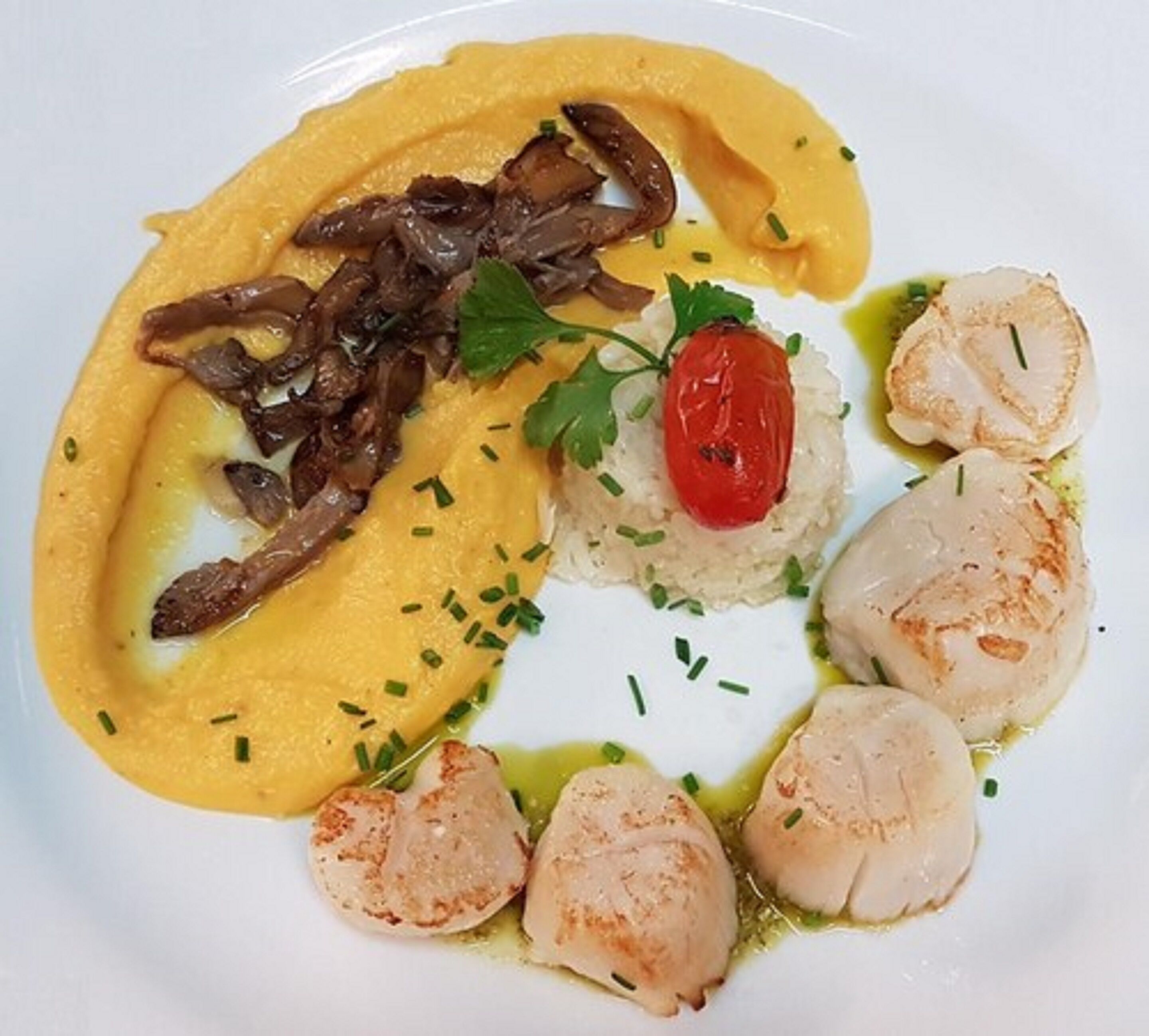 Foto - Hôtel Restaurant Ferme de la Grande Cour