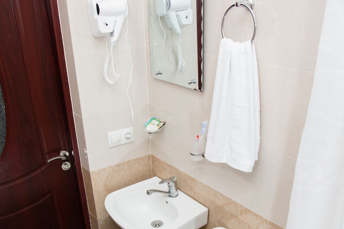 Shower, free toiletries, hair dryer, slippers