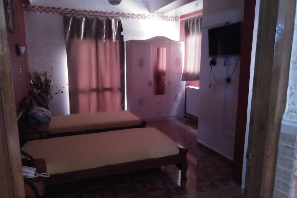 A room with two beds, a wardrobe, a television, and a plant.