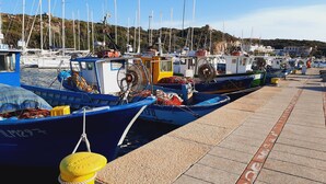 Un port de plaisance où plusieurs bateaux sont amarrés le long d’une promenade dallée.