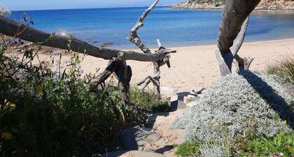 Porto Quadro Vista Corsica