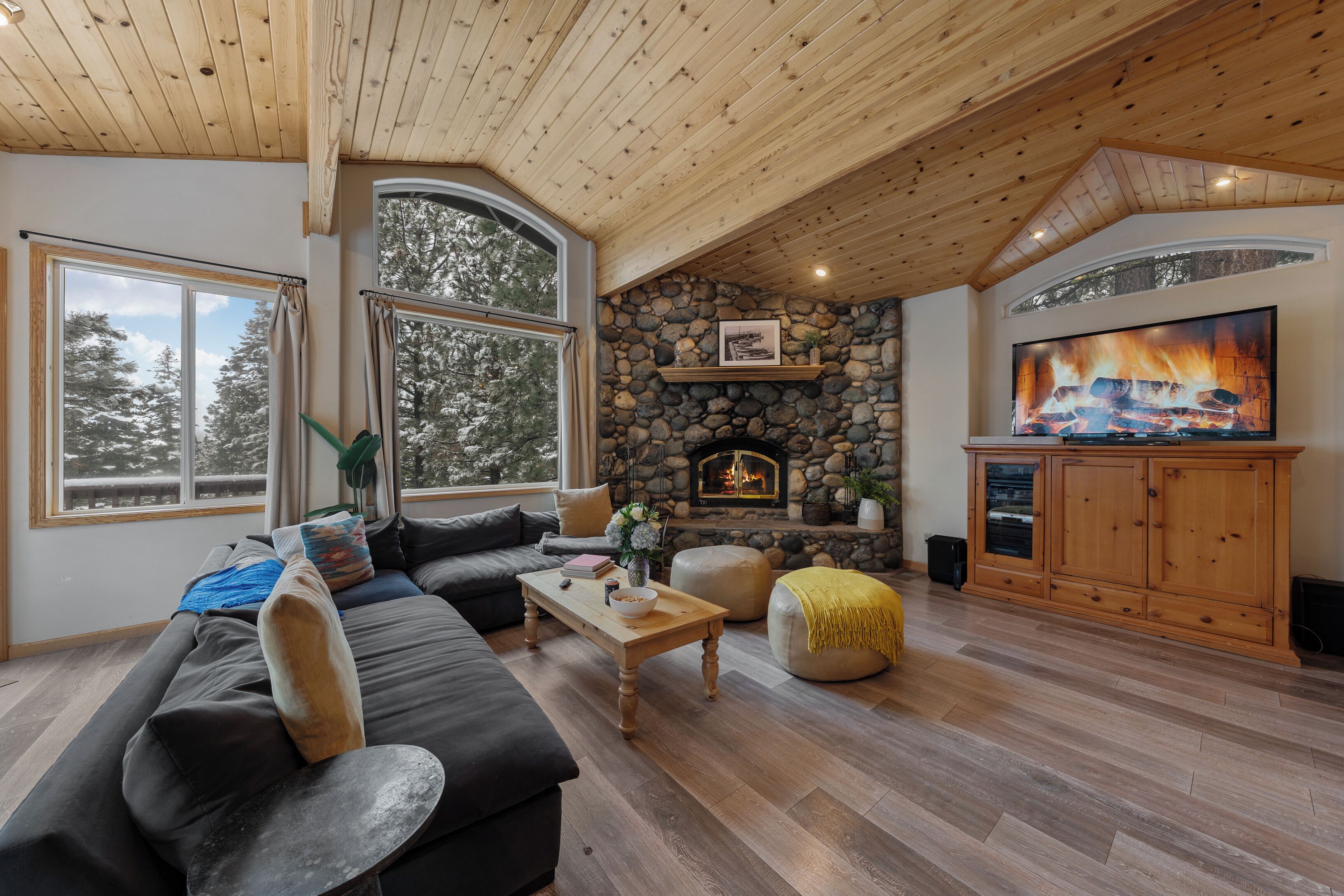 Smart-tv, pejs, videospil, bordfodbold