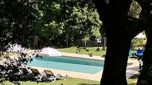 Ein Schwimmbad mit Liegestühlen und Sonnenschirmen, umgeben von Bäumen.