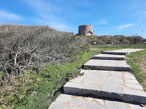 Ecotours