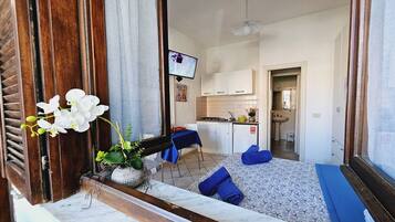 Basic Studio, 1 Queen Bed, Patio | 2 bedrooms