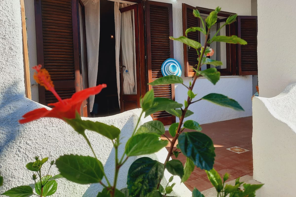 Apartemen Tradisional, 1 kamar tidur, balkon | Pemandangan dari kamar