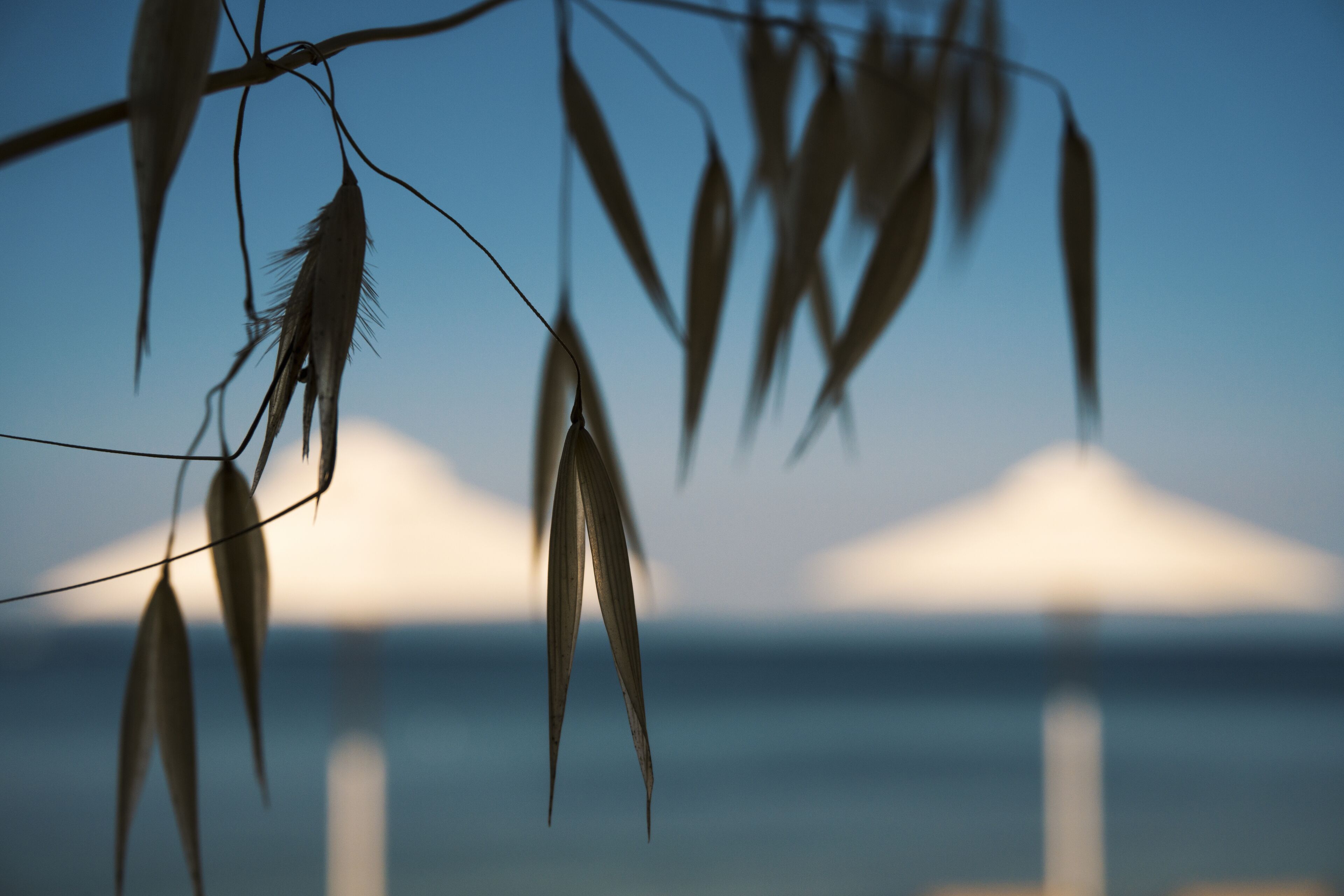 A blurred view of a beach with a structure in the background.