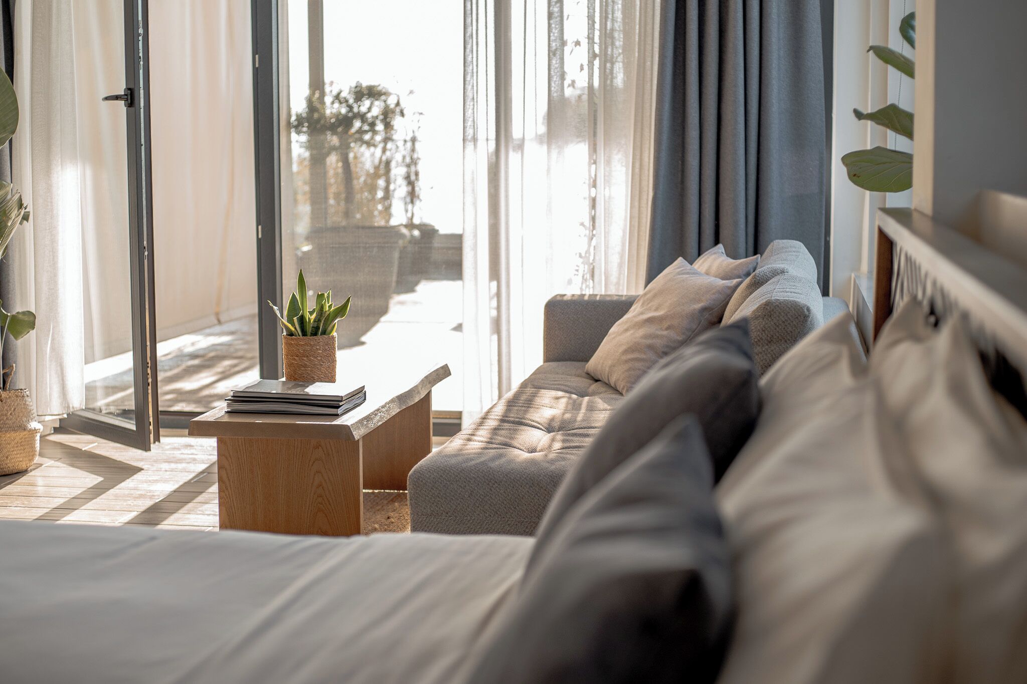 A modern bedroom with a large window, a sofa, a bedside table, and a potted plant.