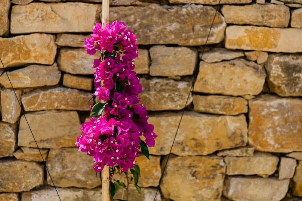 A stone wall with a wooden structure holding pink flowers.
