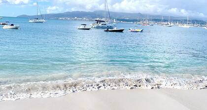 Luxury T3 apartment, Waterfront