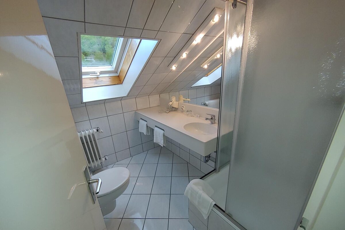 Un baño moderno con tragaluz, inodoro, lavamanos y bañera.