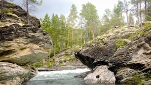 A river flowing through a rocky gorge with trees in the background.